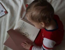 Image of toddler reading a storybook